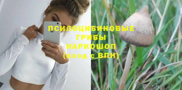 амф Верея