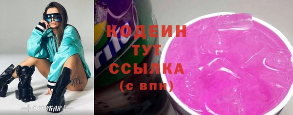 хмурый Бородино