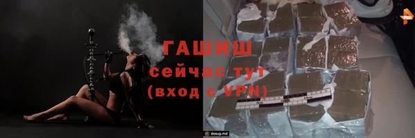 хмурый Бородино