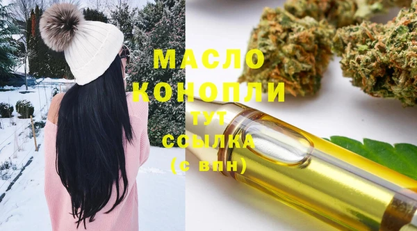 хмурый Бородино