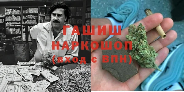 хмурый Бородино
