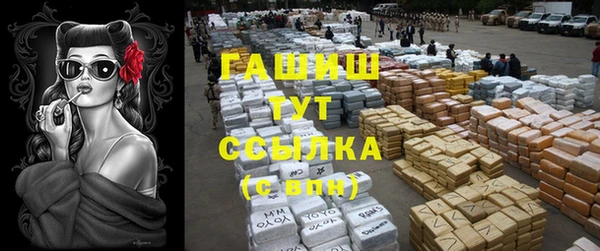 хмурый Бородино