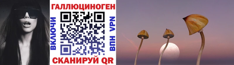 даркнет какой сайт  Заинск  Псилоцибиновые грибы Magic Shrooms  как найти закладки 