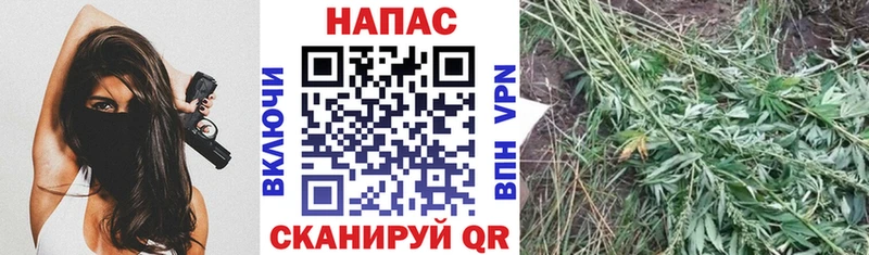 Шишки марихуана гибрид Заинск